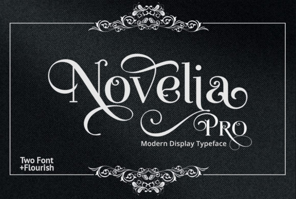 Novelia Pro: Elevating Modern Visual Design